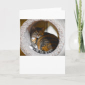 Trage dagen, kaart (Voorkant)