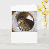 Trage dagen, kaart (Gele Bloem)