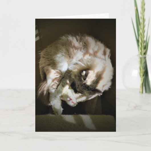 Trage dagen, kaart (Voorkant)