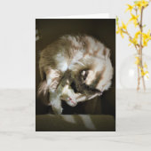 Trage dagen, kaart (Gele Bloem)