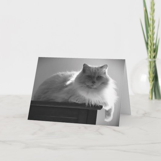 Trage dagen, kaart (Voorkant)