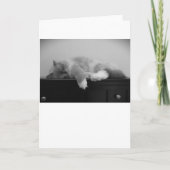 Trage dagen, kaart (Voorkant)