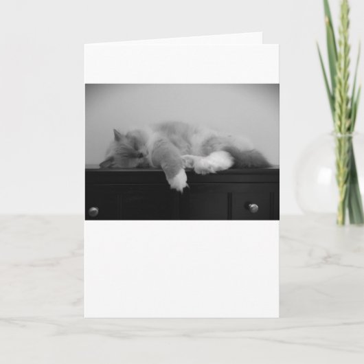 Trage dagen, kaart (Voorkant)