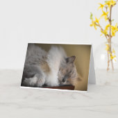 Trage dagen, kaart (Gele Bloem)