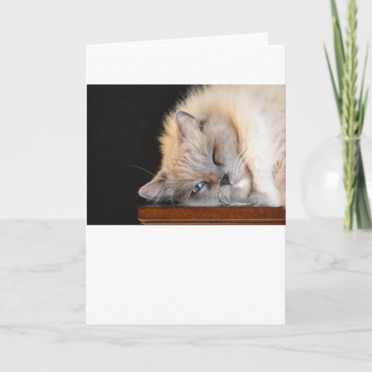 Trage Dagen, kaart (Voorkant)