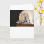 Trage Dagen, kaart (Gele Bloem)