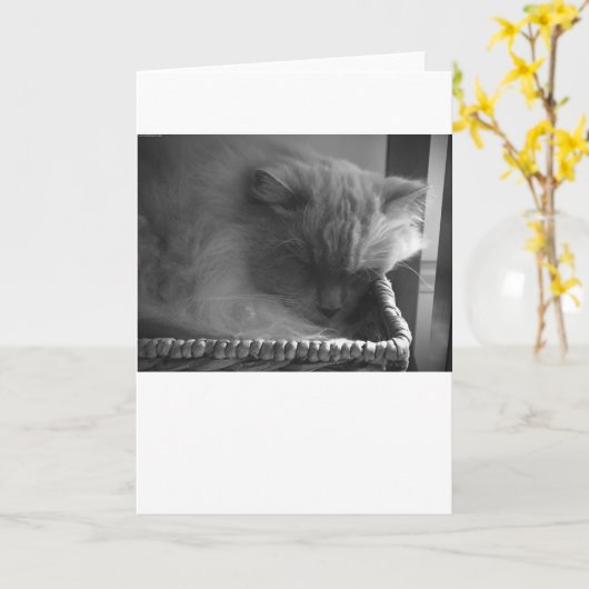 Trage dagen, kaart (Gele Bloem)