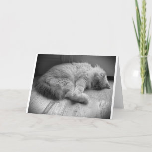 Trage dagen, kaart