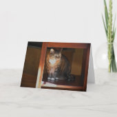 Trage dagen, kaart (Voorkant)