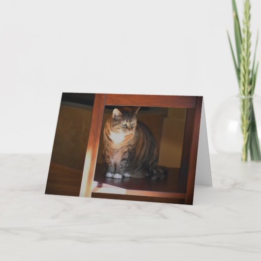 Trage dagen, kaart (Voorkant)