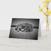 Trage dagen, kaart (Gele Bloem)