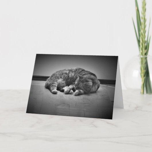 Trage dagen, kaart (Voorkant)