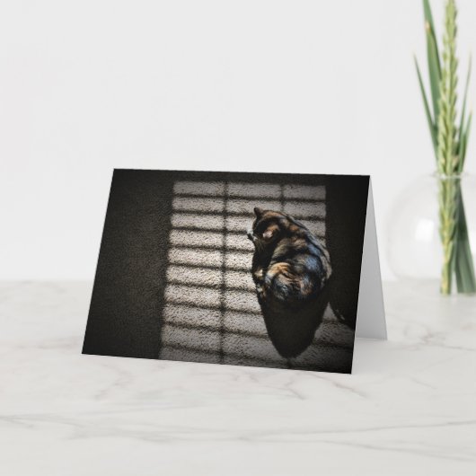 Trage dagen, kaart (Voorkant)