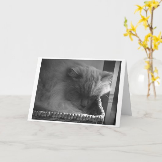 Trage dagen, kaart (Gele Bloem)