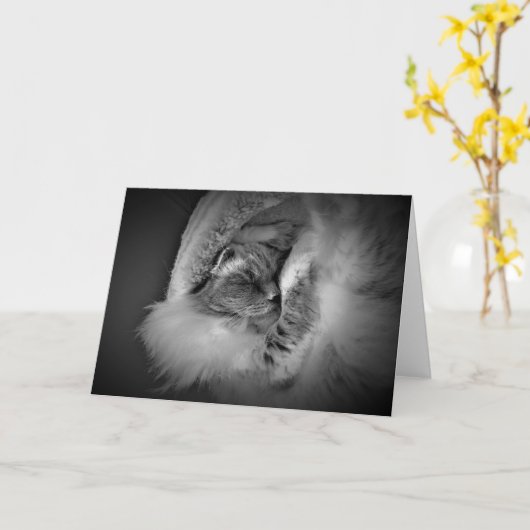 Trage dagen, kaart (Gele Bloem)