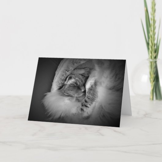 Trage dagen, kaart (Voorkant)