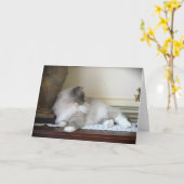 Trage dagen, kaart (Gele Bloem)