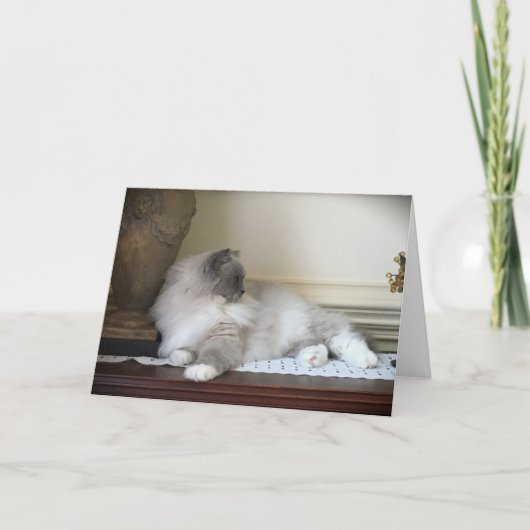 Trage dagen, kaart (Voorkant)