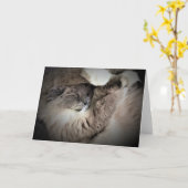 Trage dagen, kaart (Gele Bloem)