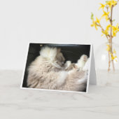 Trage dagen, kaart (Gele Bloem)