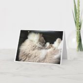 Trage dagen, kaart (Voorkant)