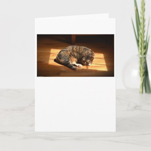 Trage dagen, kaart (Voorkant)