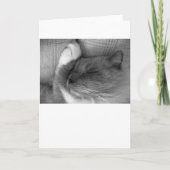 Trage dagen, kaart (Voorkant)