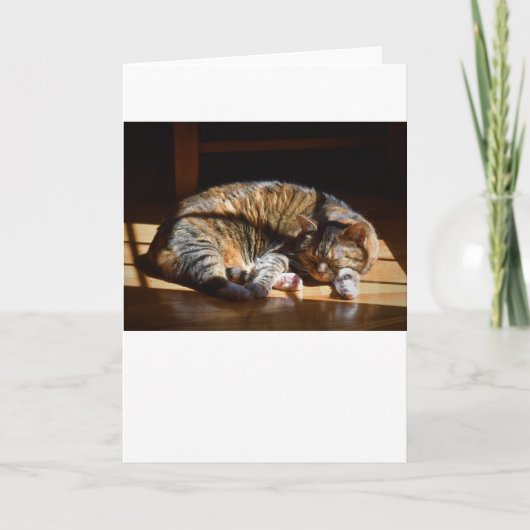 Trage dagen, kaart (Voorkant)