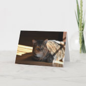 Trage dagen, kaart (Voorkant)