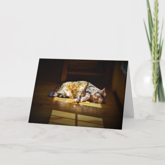 Trage dagen, kaart (Voorkant)