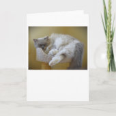 Trage dagen, kaart (Voorkant)