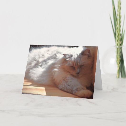 Trage dagen, kaart (Voorkant)