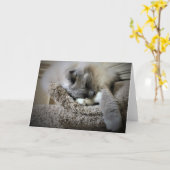 Trage dagen, kaart (Gele Bloem)