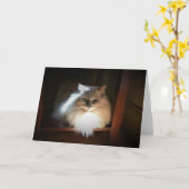 Trage dagen, kaart (Gele Bloem)