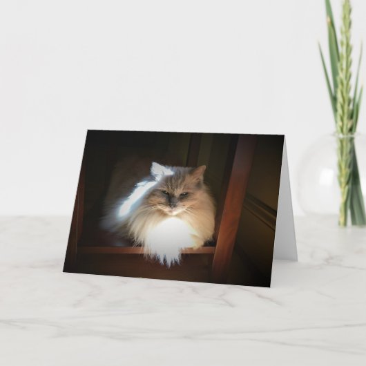 Trage dagen, kaart (Voorkant)