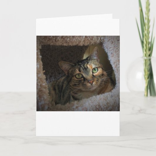 Trage dagen, kaart (Voorkant)