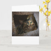 Trage dagen, kaart (Gele Bloem)