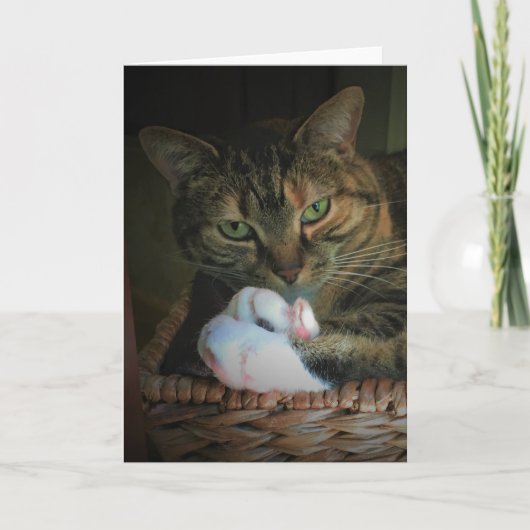 Trage dagen, kaart (Voorkant)