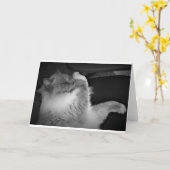 Trage dagen, kaart (Gele Bloem)