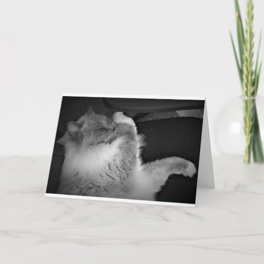 Trage dagen, kaart (Voorkant)