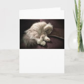 Trage dagen, kaart (Voorkant)