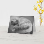 Trage dagen, kaart (Gele Bloem)