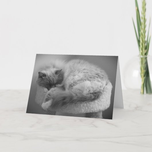 Trage dagen, kaart (Voorkant)