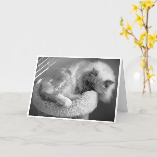 Trage dagen, kaart (Gele Bloem)