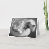 Trage dagen, kaart (Voorkant)