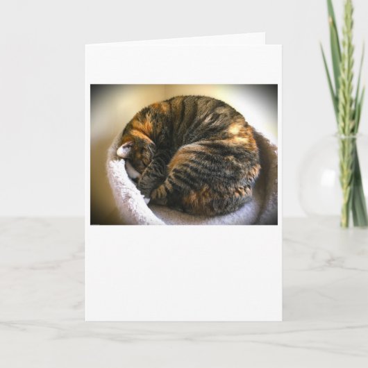 Trage dagen, kaart (Voorkant)