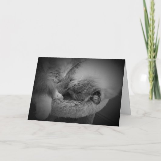 Trage dagen, kaart (Voorkant)