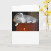 Trage dagen, kaart (Gele Bloem)