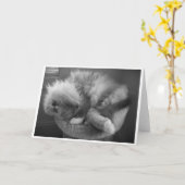 Trage dagen, kaart (Gele Bloem)