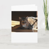 Trage dagen, kaart (Voorkant)